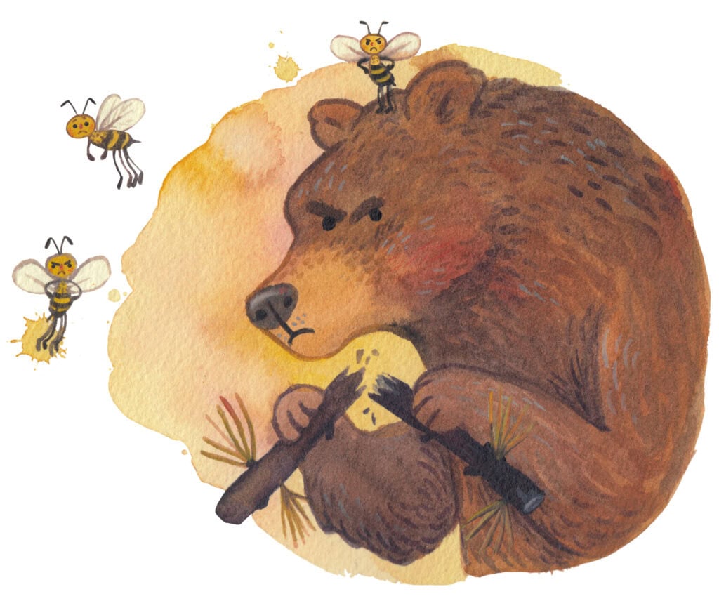 l'orso di grosse dimensioni è arrabbiato.